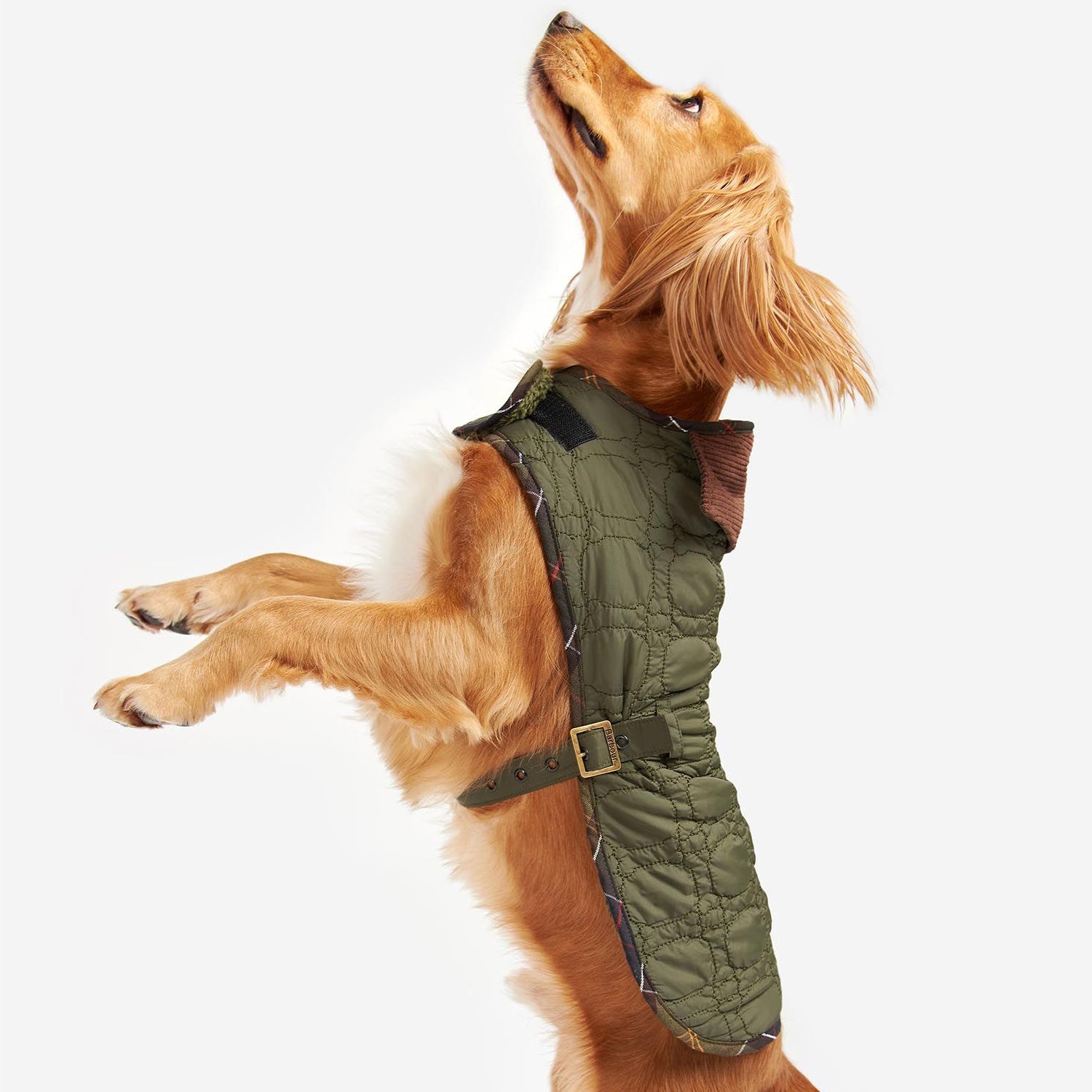 Barbour Quilted Dog Bone Dog Coat in Dark Olive