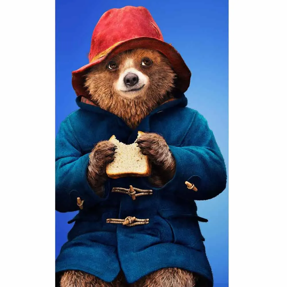 Paddington Bear Duffle Hooded Coat