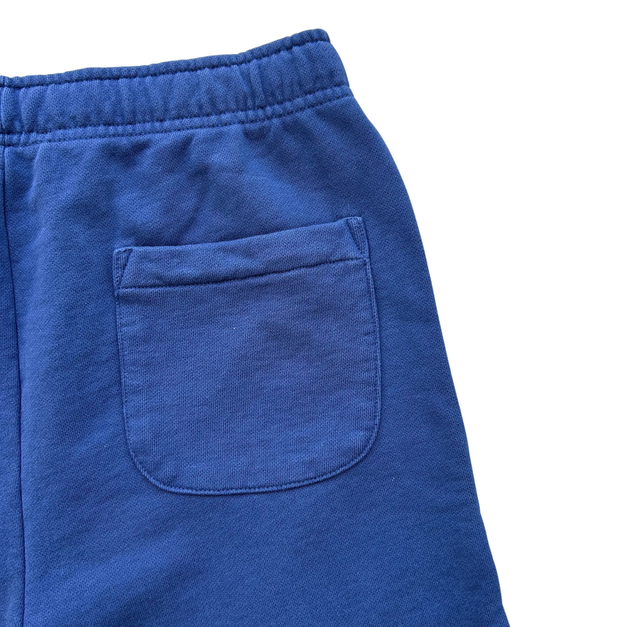 Polo Ralph Lauren Polo Shorts (Ocean Blue)